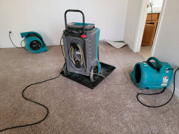Best Water damage repair service  in Palo Alto, CA