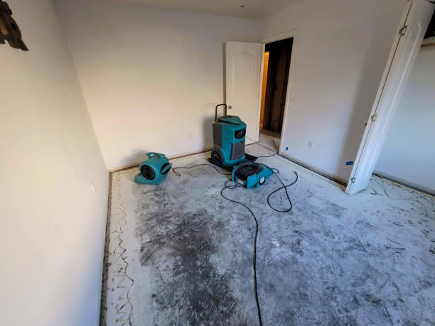 Best Flooded house restoration  in Palo Alto, CA