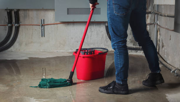 Trusted Palo Alto, CA Water damage restoration Experts