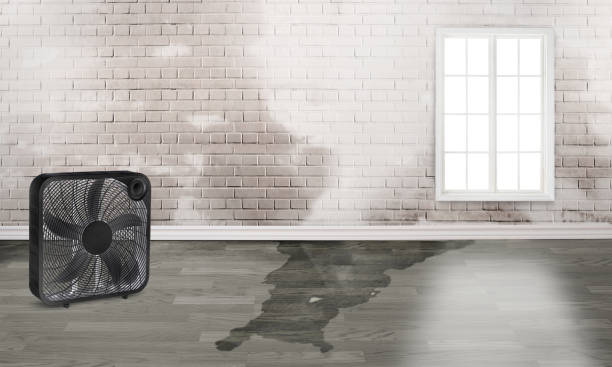 Best Flood restoration services  in Palo Alto, CA