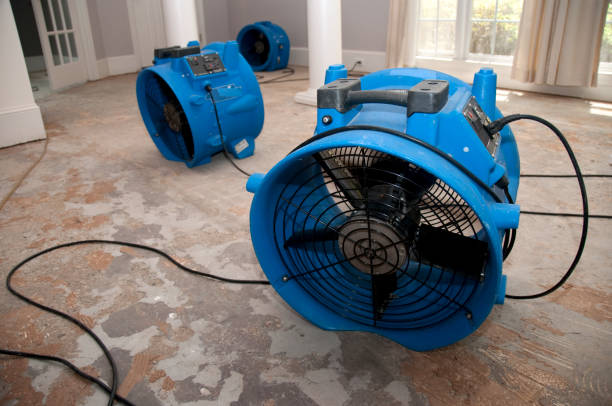 Best Ceiling water damage repair  in Palo Alto, CA