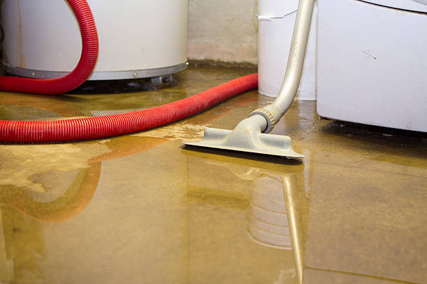  Palo Alto, CA Water damage restoration Pros
