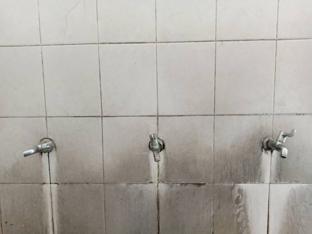 Best Water damage cleanup near me  in Palo Alto, CA