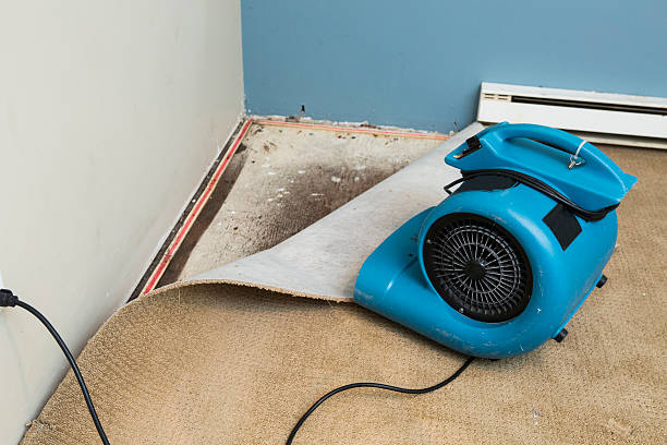 Carpet water damage restoration in Palo Alto, CA